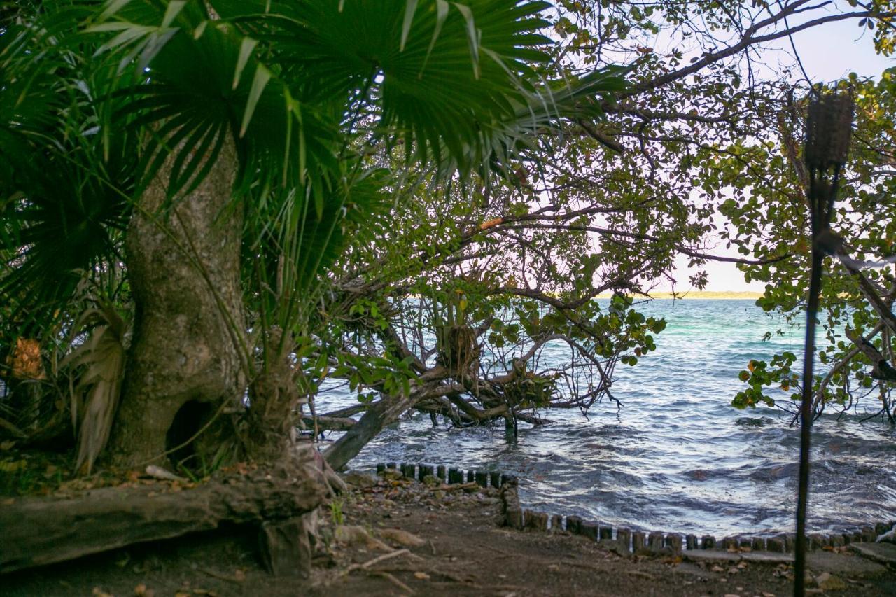 Hotel Buenavista Bacalar Jungle Experience Esterno foto