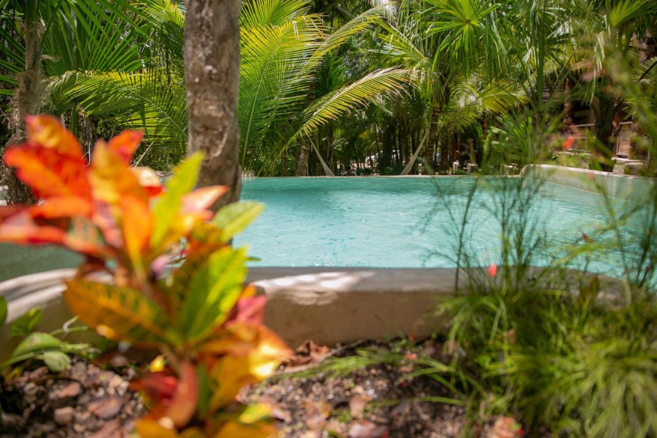 Hotel Buenavista Bacalar Jungle Experience Esterno foto
