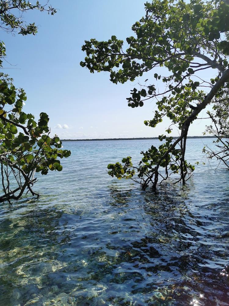 Hotel Buenavista Bacalar Jungle Experience Esterno foto